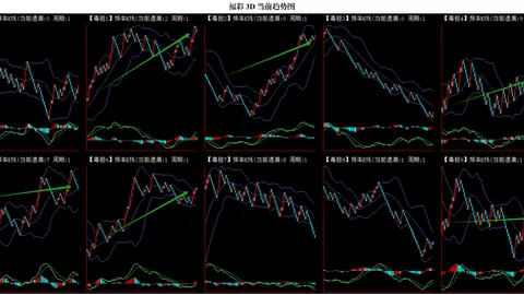 第2026082期 大乐透2026082期十大专家质合分析推